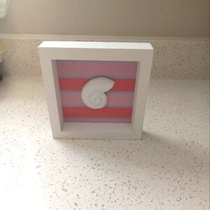 White Framed Nautilus Shell Wall Art